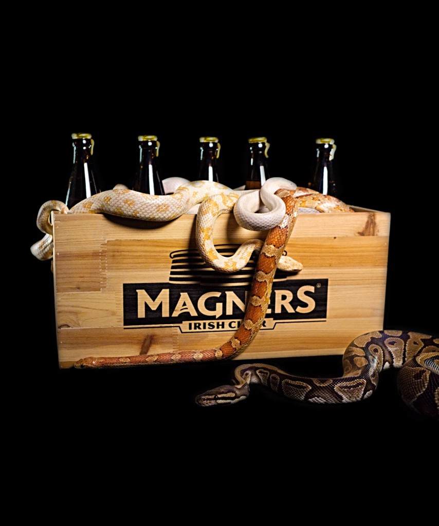 SNAKES 3